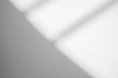 Window shadow drop on white wall backgroundの写真素材