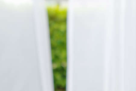 Abstract blur curtain window with green garden backgroundの写真素材