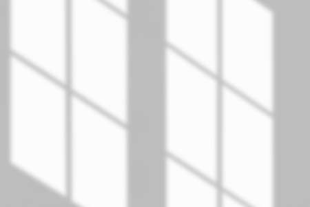 Window shadow drop on white wall backgroundの写真素材
