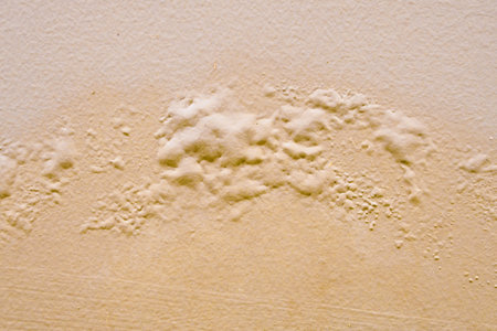 Brown wall damp damaged with peeling paint