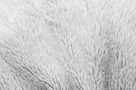 White fluffy fur fabric wool texture background