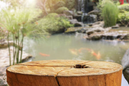 tree stump top with garden blurred backgroundの写真素材