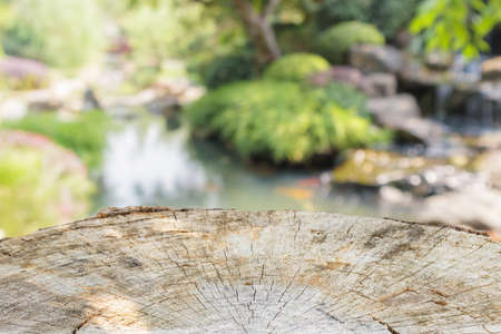 tree stump top with garden blurred backgroundの写真素材