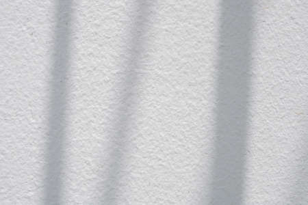 Leaves shadow on concrete wall background