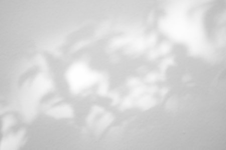 Leaves shadow on concrete wall background