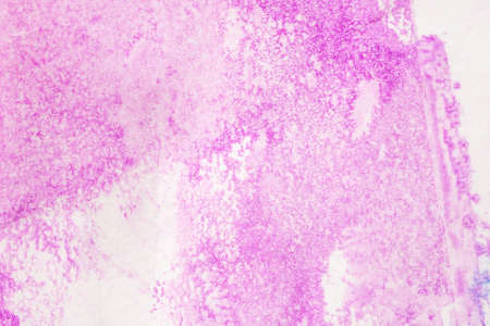 Abstract pink watercolor paint paper background texture