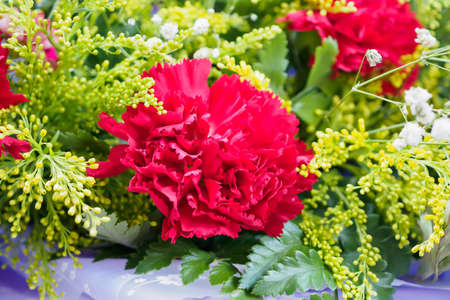 flower bouquet of red carnation with green leaves backgroundの写真素材