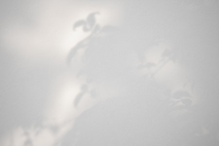 Leaves shadow on concrete wall background