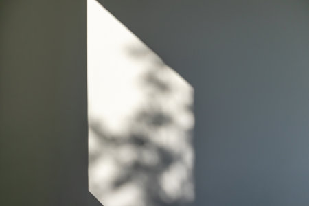 natural tree leaves shadow drop on window backgroundの写真素材