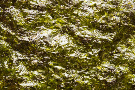 Dry nori seaweed sheet texture backgroundの写真素材