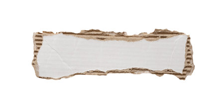 piece of white paper tear isolated on white backgroundの写真素材