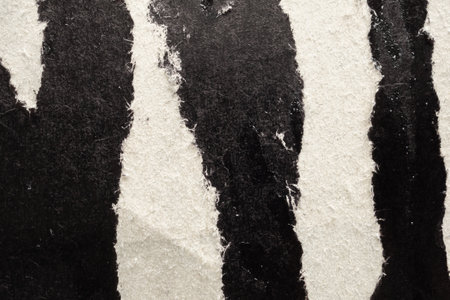 Old grunge ripped torn black paper poster surface texture backgroundの写真素材