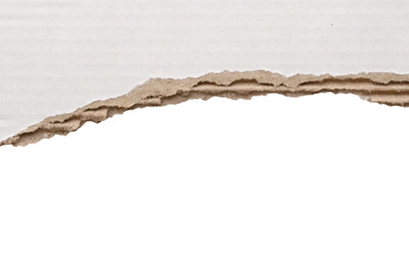 White ripped paper torn edges strips isolated on white backgroundの写真素材