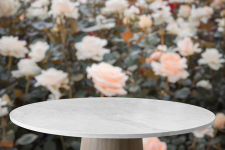 Empty marble table top with blur rose garden background for product displayの写真素材