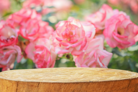 Empty old tree stump table top with blur rose garden background for product displayの写真素材