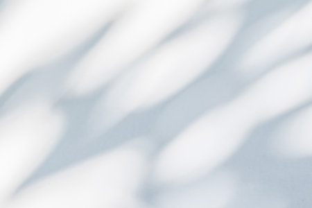 Abstract natural tree leaves shadow on white wall background