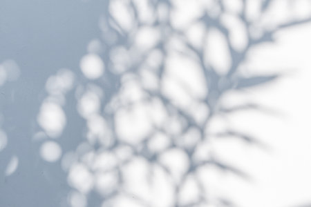 Abstract natural tree leaves shadow on white wall backgroundの写真素材