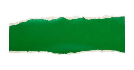 piece of green paper tear isolated on white backgroundの写真素材