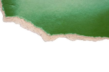 Green ripped paper torn edges strips isolated on white backgroundの写真素材