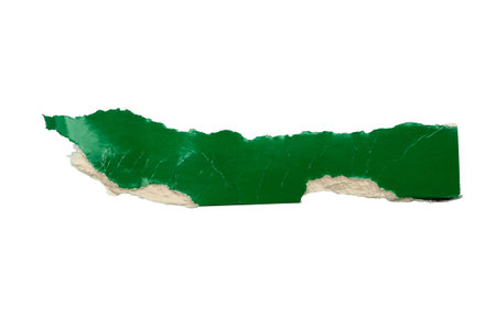 piece of green paper tear isolated on white backgroundの写真素材