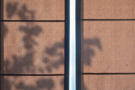Abstract tree leaves shadow drop on brown curtain window backgroundの写真素材