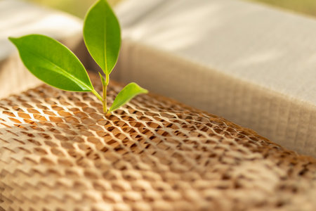 Green leaf on eco friendly brown paper honeycomb wrap for product packaging parcel carton boxの写真素材