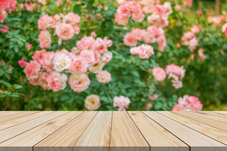 Empty wood table top with blur rose garden background for product displayの写真素材
