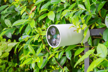 Security IP CCTV camera install on the fence for home security system