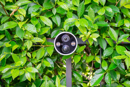 Security IP CCTV camera install on the fence for home security systemの写真素材