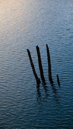 Scrap old wooden bridge in the river at sangkhlaburi, kanchanaburi Thailandの写真素材