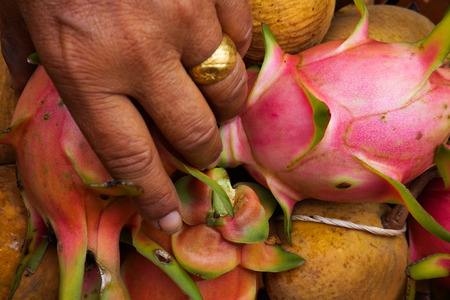 Hand choosing dragon fruit and othersの写真素材