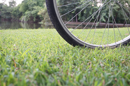 Bicycle wheel