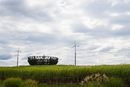 Grass field and wind in the summer,haneul park,south koreaの写真素材