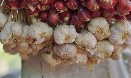 bunch of red onions and garlic