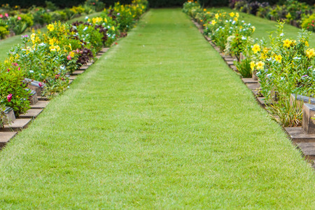 grass walkwayの写真素材