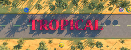 Travel. Aerial view of umbrellas, palms on the sandy beach. 3d renderingの写真素材