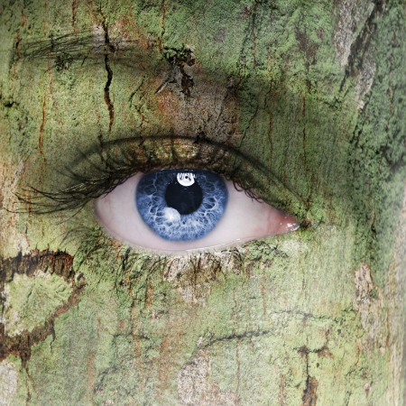 Tree faceの写真素材