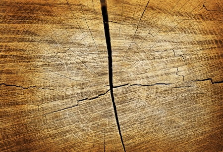 Old wooden background or textureの写真素材