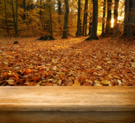 Empty table for Your photomontage or product display.の写真素材