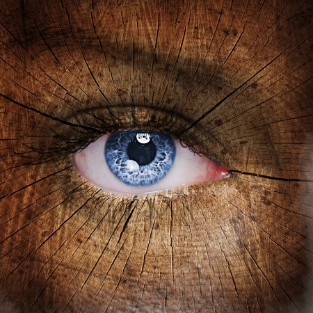 Tree trunk texture on woman face - ecology conceptの写真素材