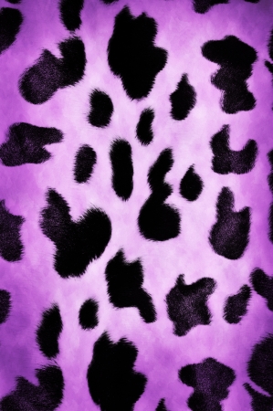 Natural cow pattern spots  background or textureの写真素材