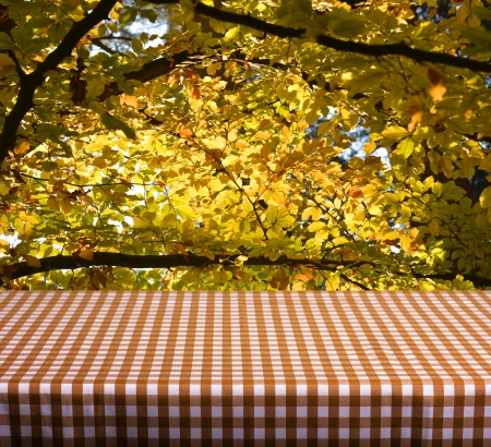 Empty table with orange gingham tablecloth over autumn leaves background. Great for product display...