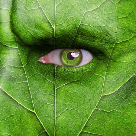 Nature concept - man face covered with leaf textureの写真素材