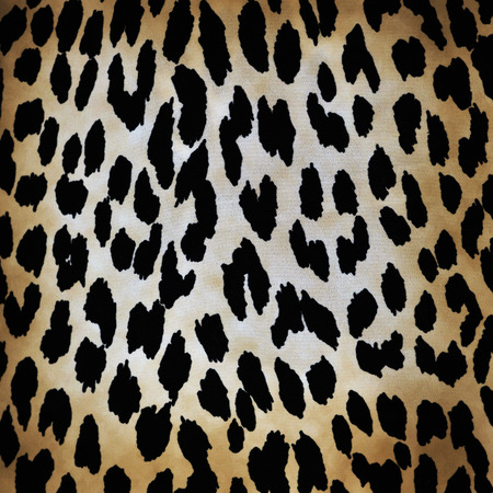 wild animal pattern background or texture close up - material