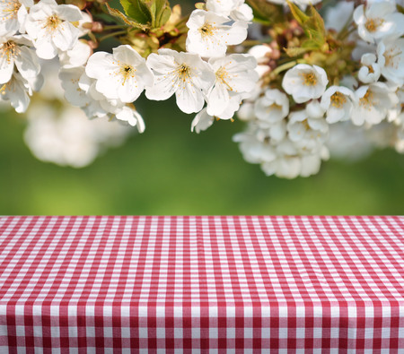 empty table and spring flowers in backgroundの写真素材