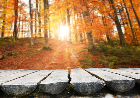 empty table for product display montagesの写真素材
