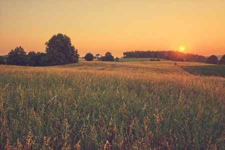 Vintage sunset over summer fieldsの写真素材