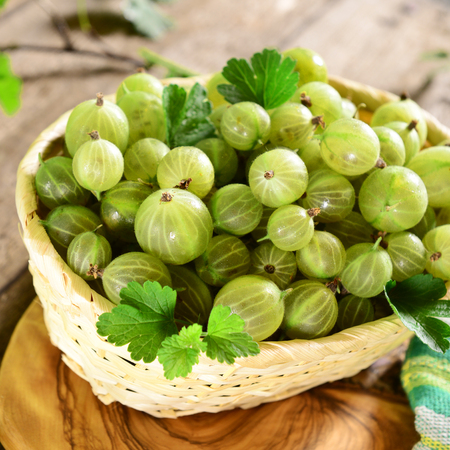 Basket of fresh gooseberriesの写真素材