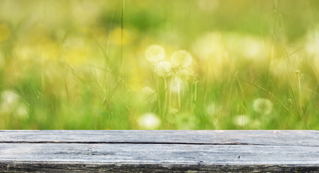 Spring background ready for your display montagesの写真素材