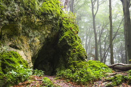Cave in foggy forestの写真素材